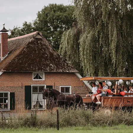Luxe Blokhut Warnstee *