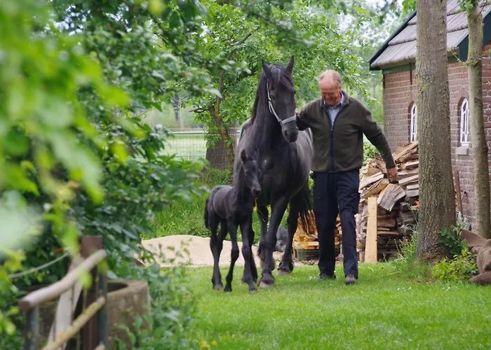 Luxe Blokhut Warnstee *